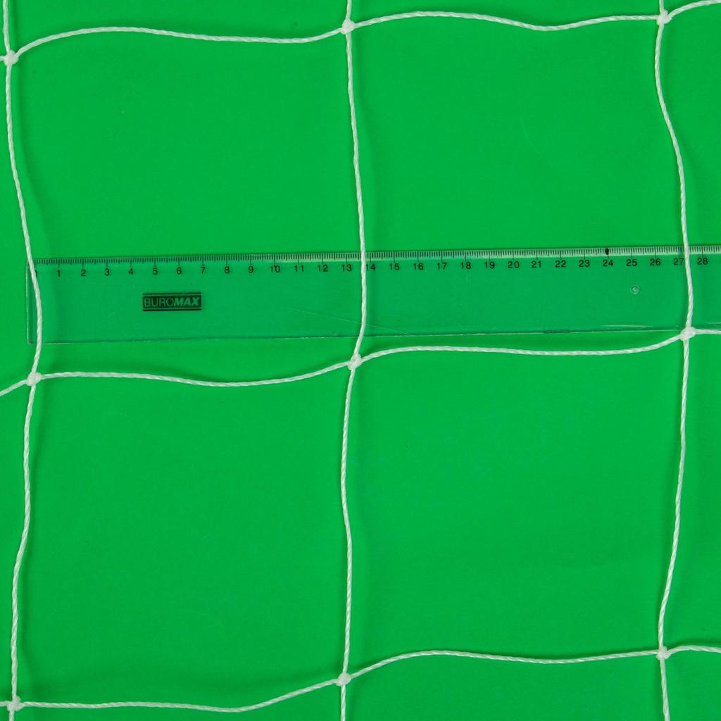 Gemini Sport variant image