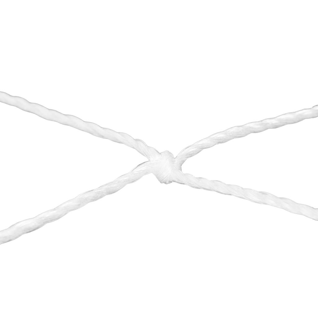 Gemini Sport variant image