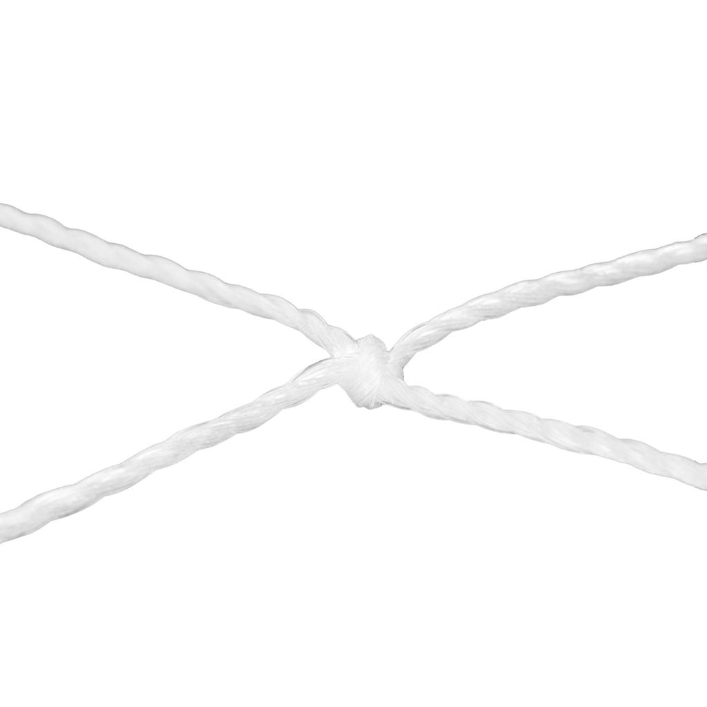 Gemini Sport variant image