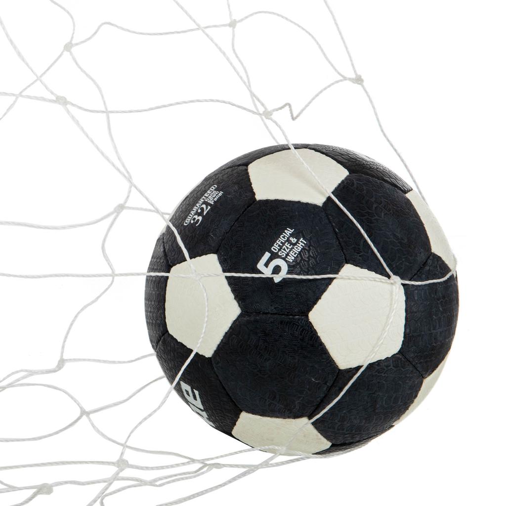 Gemini Sport variant image