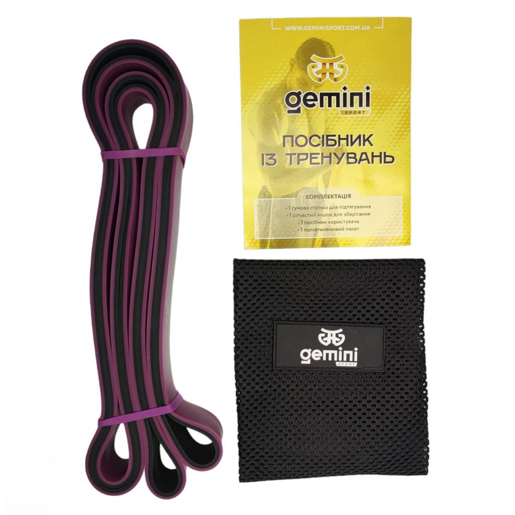 Gemini Sport variant image