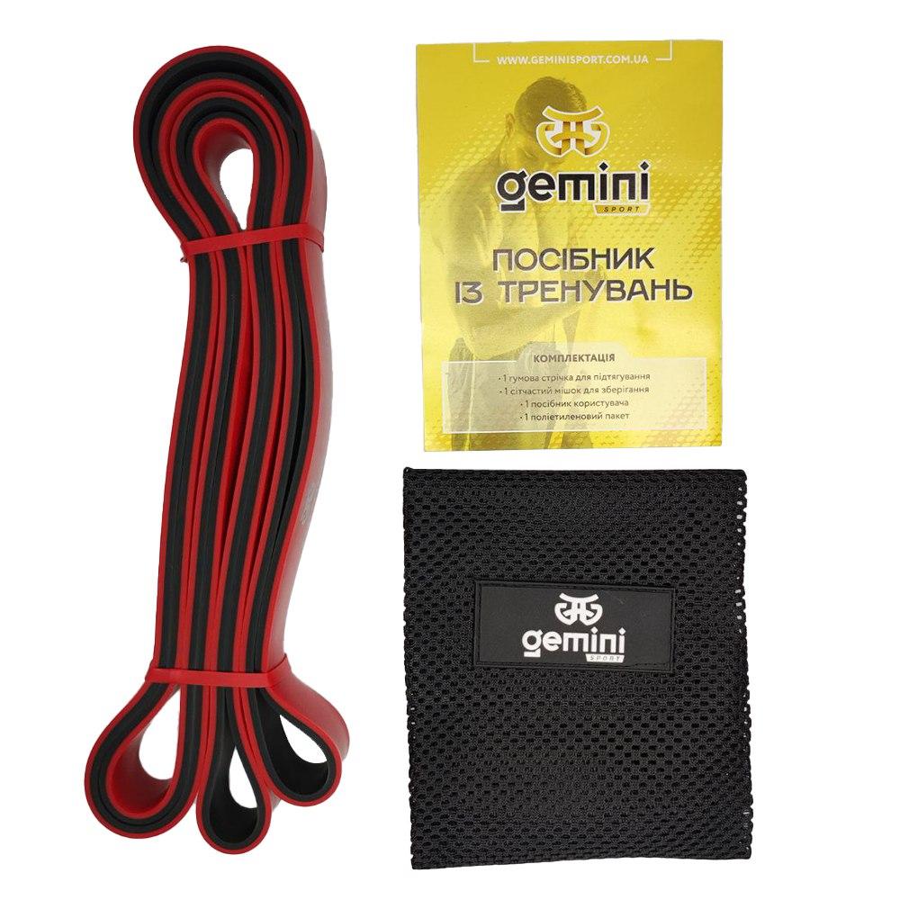 Gemini Sport variant image