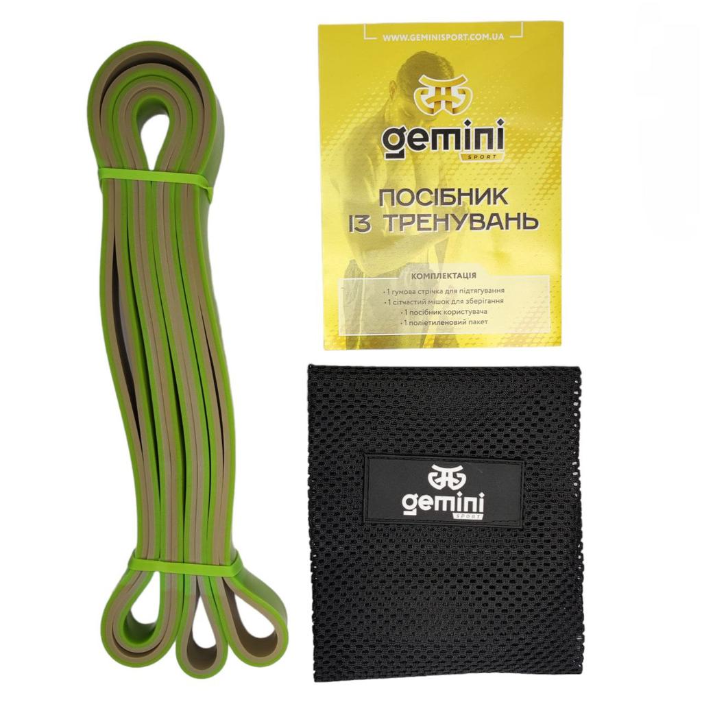 Gemini Sport variant image