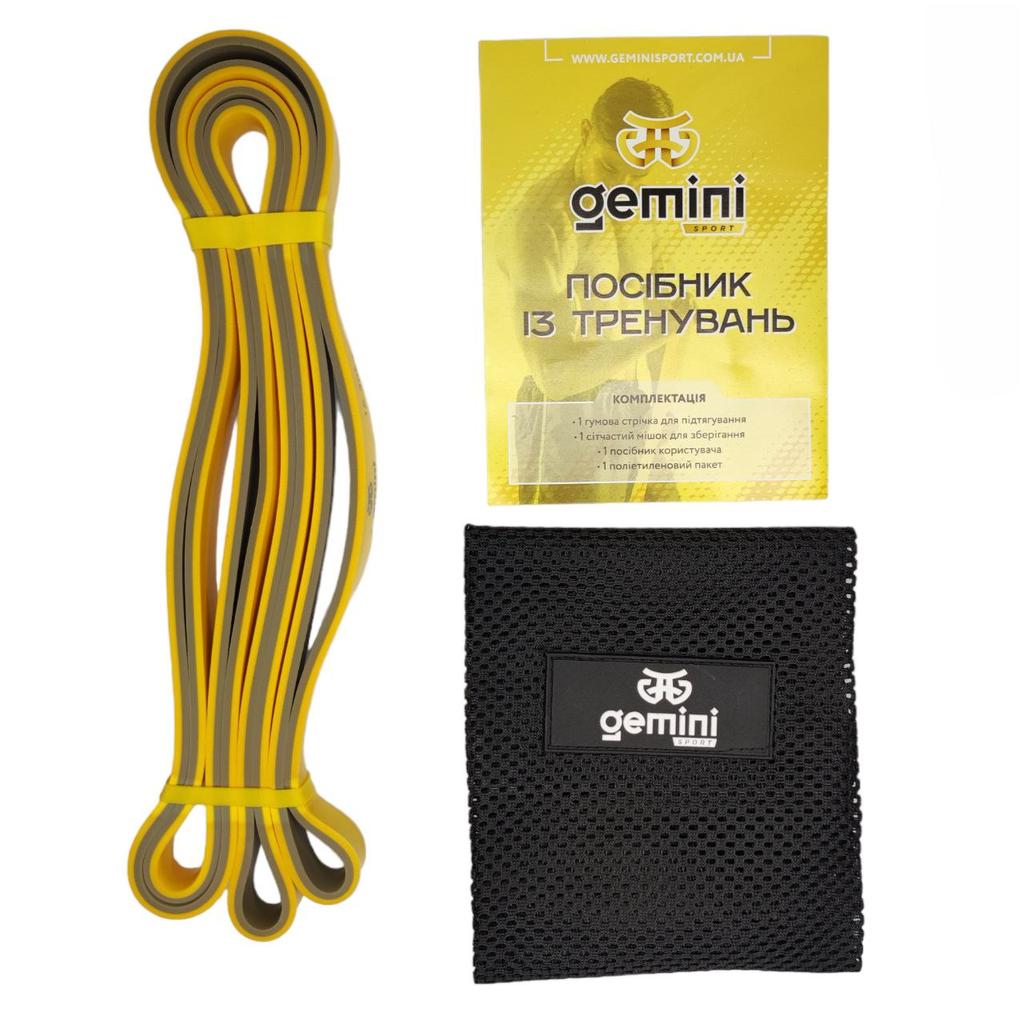 Gemini Sport variant image