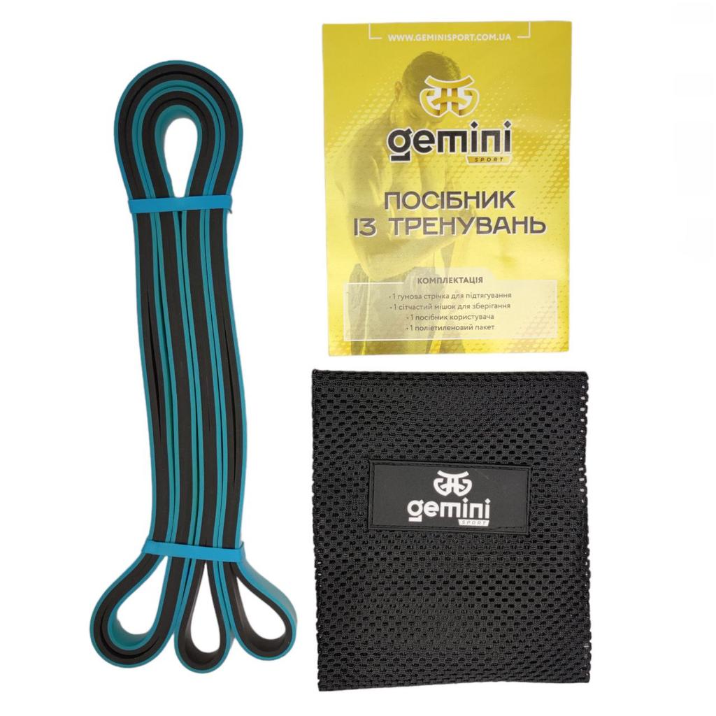 Gemini Sport variant image