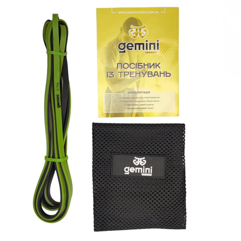 Gemini Sport variant image