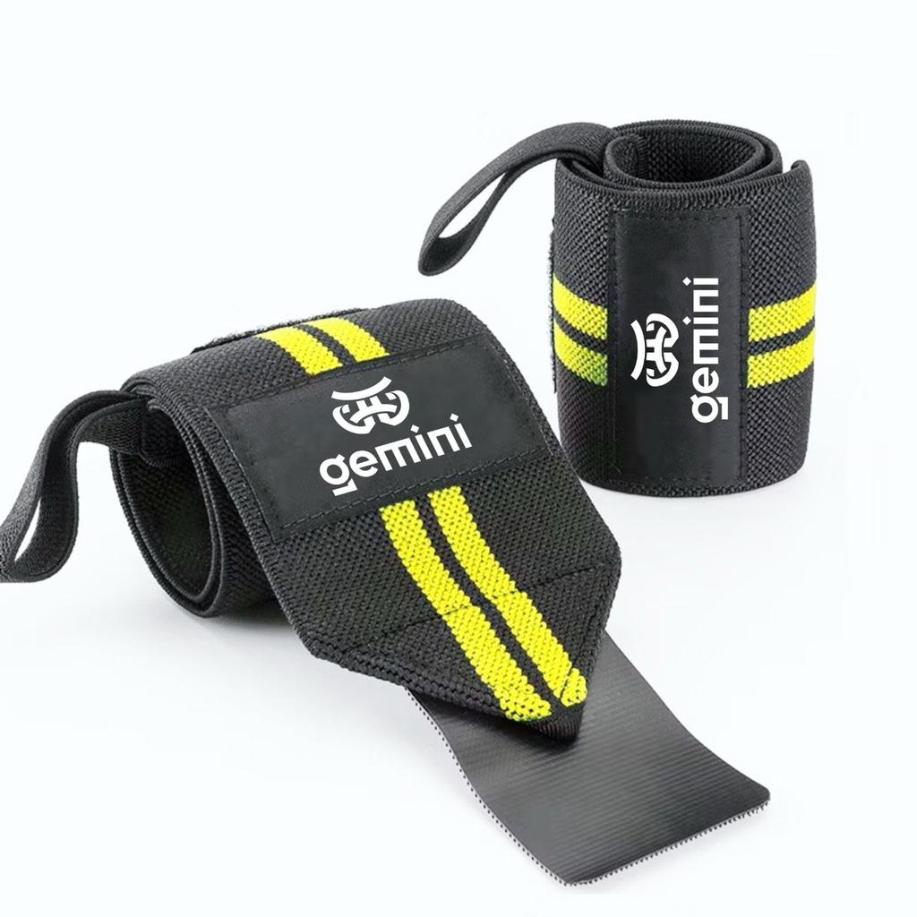 Gemini Sport variant image