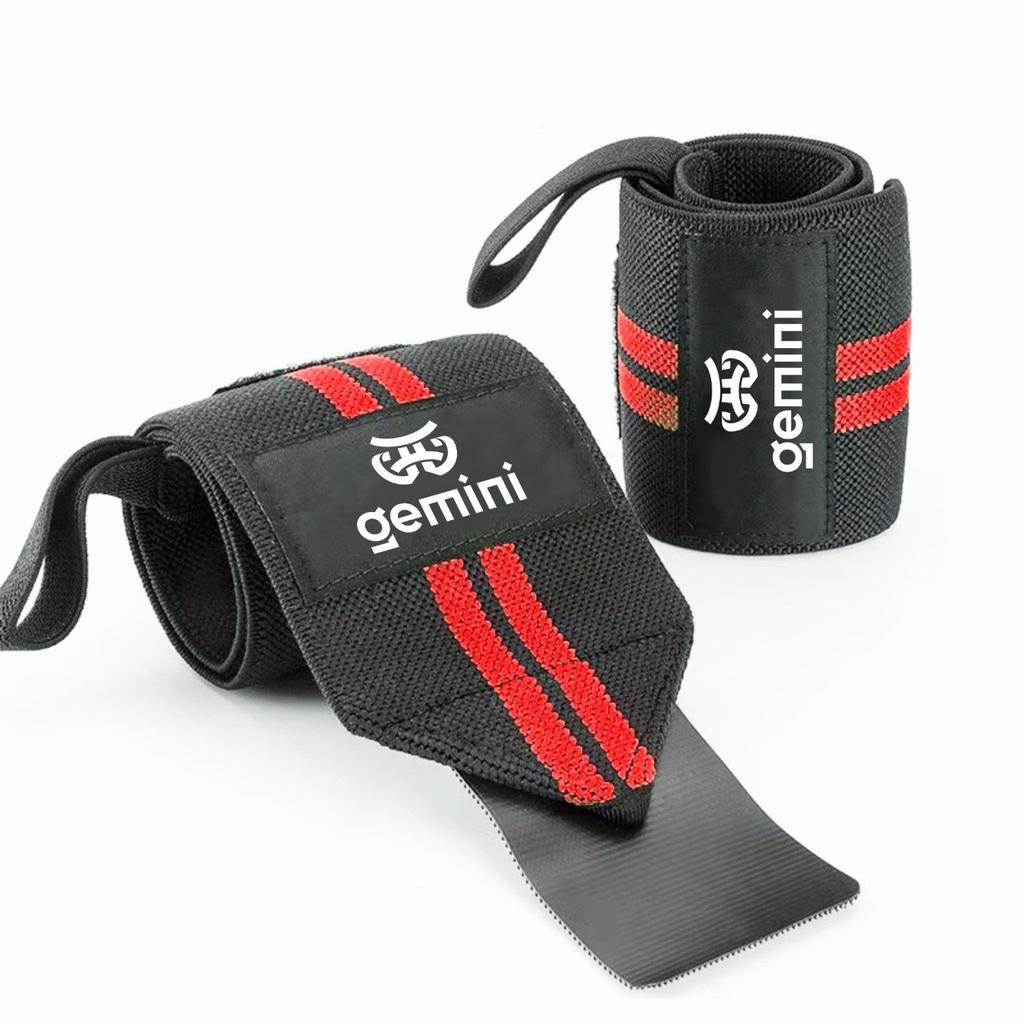 Gemini Sport variant image