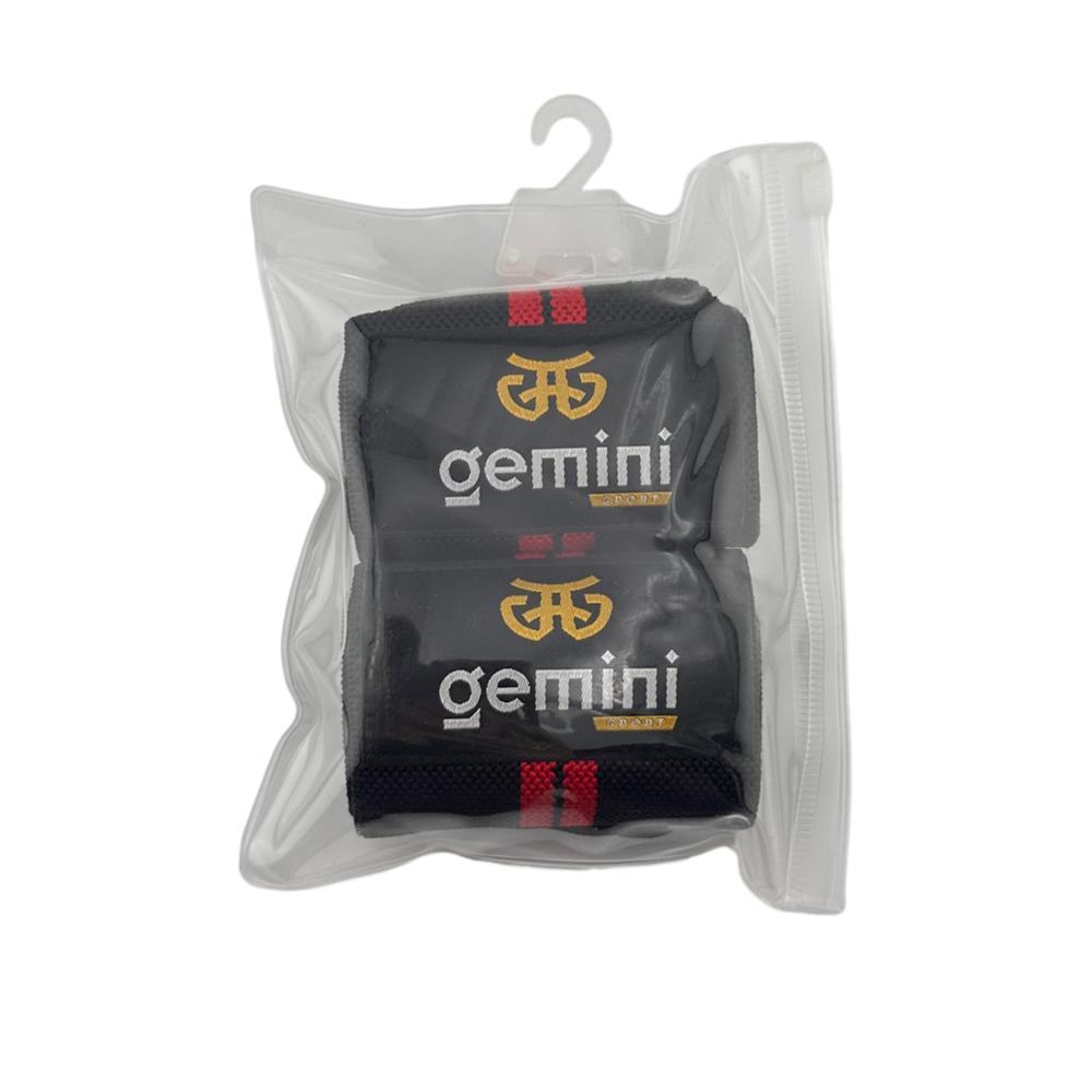 Gemini Sport variant image