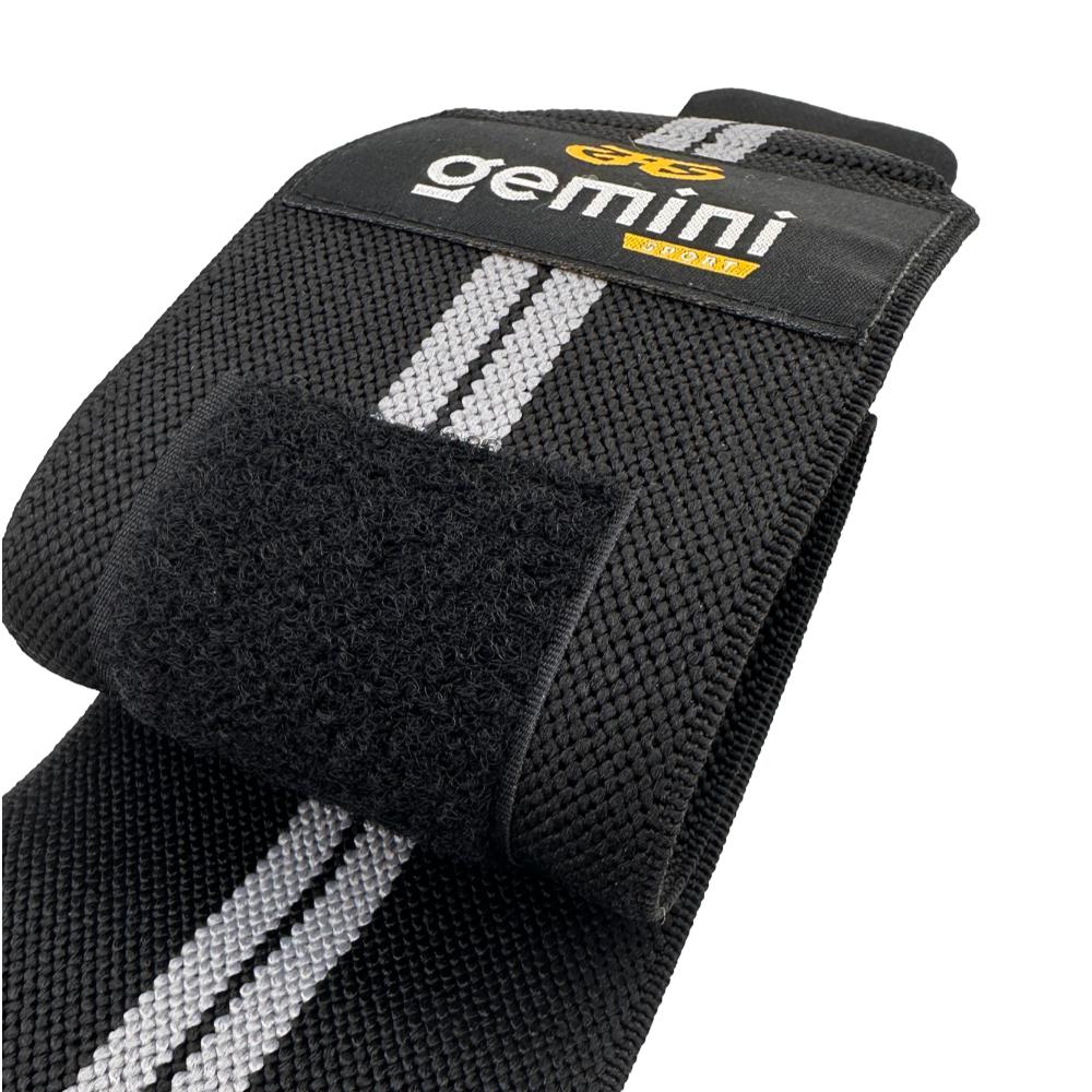 Gemini Sport variant image