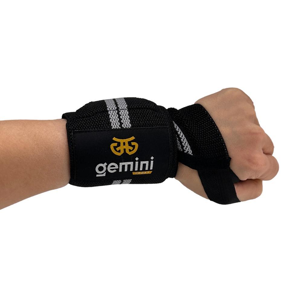 Gemini Sport variant image