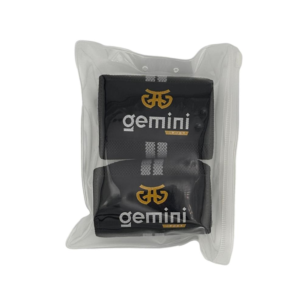 Gemini Sport variant image