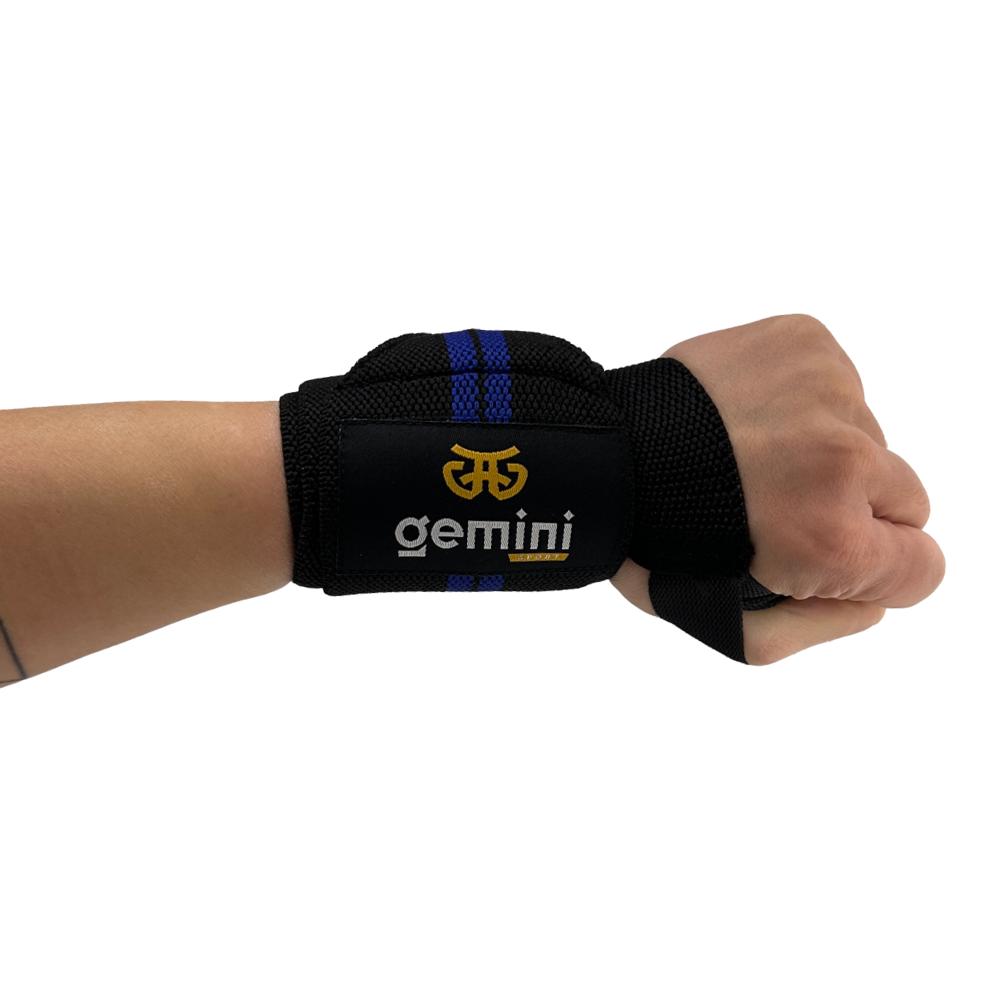 Gemini Sport variant image