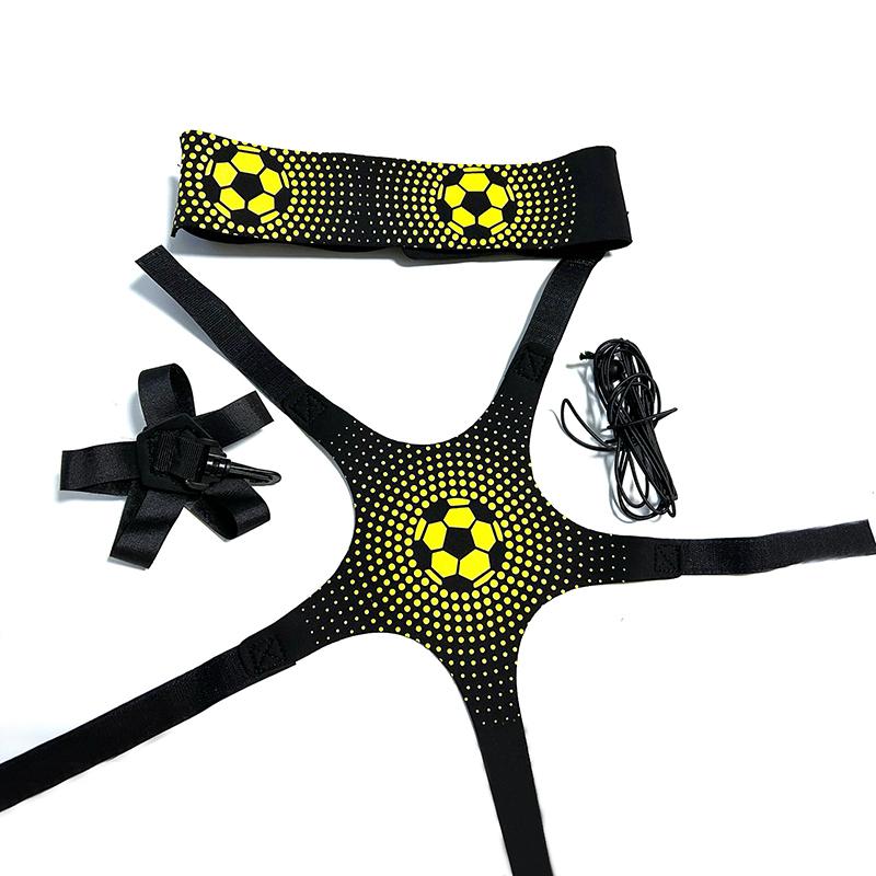 Gemini Sport variant image