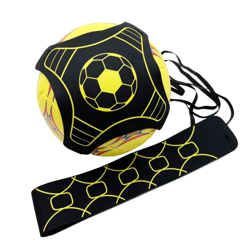 Gemini Sport variant image