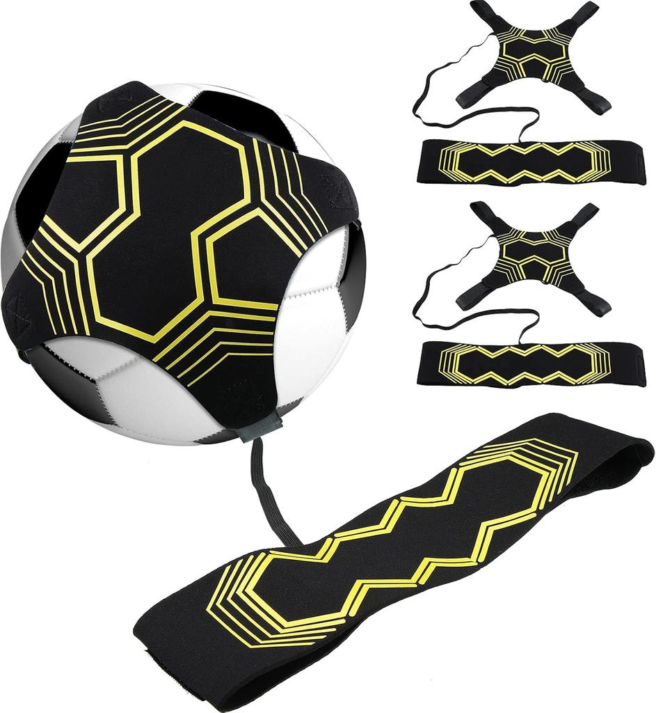 Gemini Sport variant image