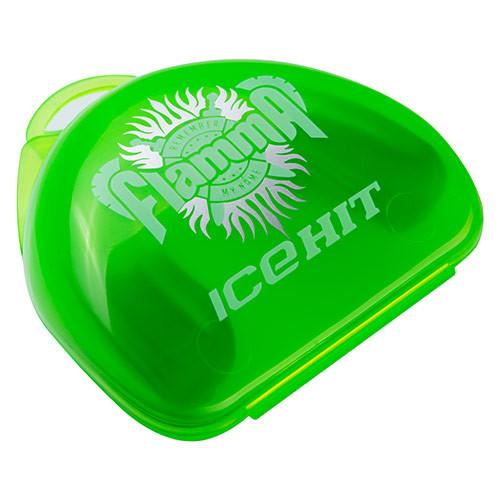 Gemini Sport variant image