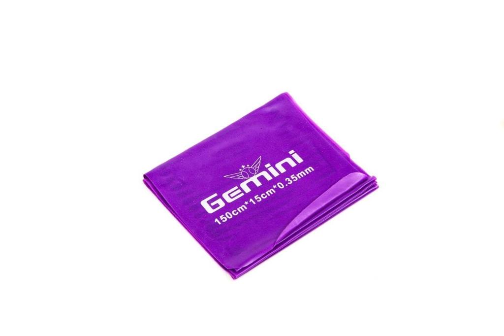 Gemini Sport variant image