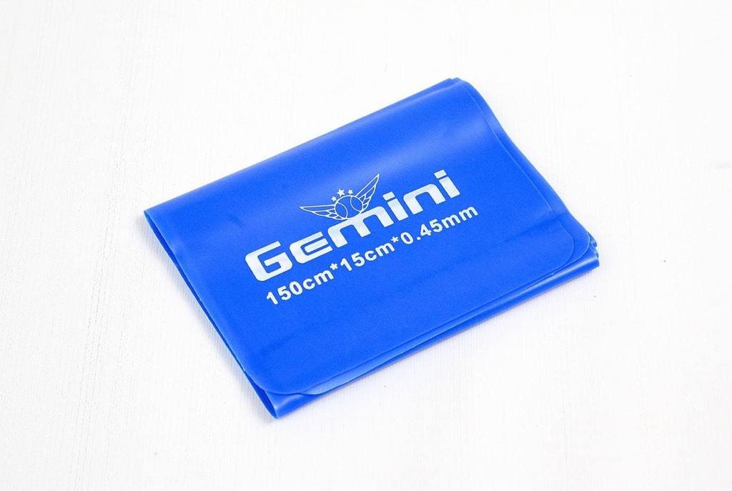 Gemini Sport variant image