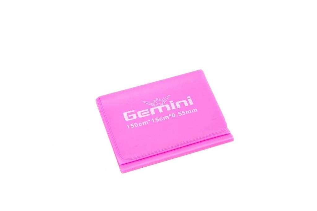 Gemini Sport variant image