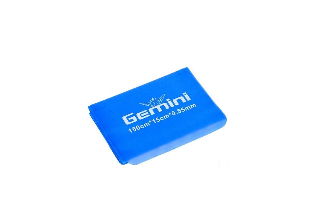 Gemini Sport variant image