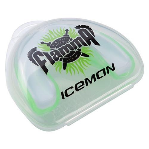 Gemini Sport variant image
