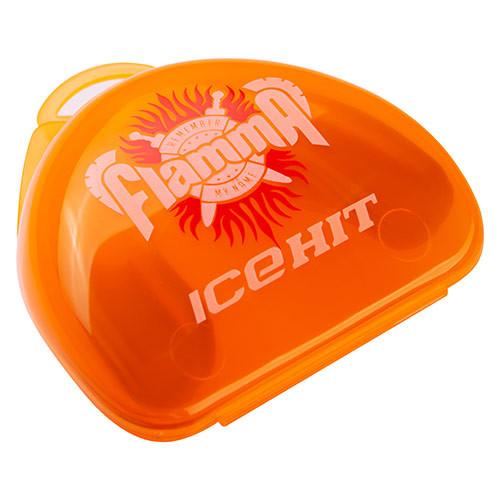 Gemini Sport variant image