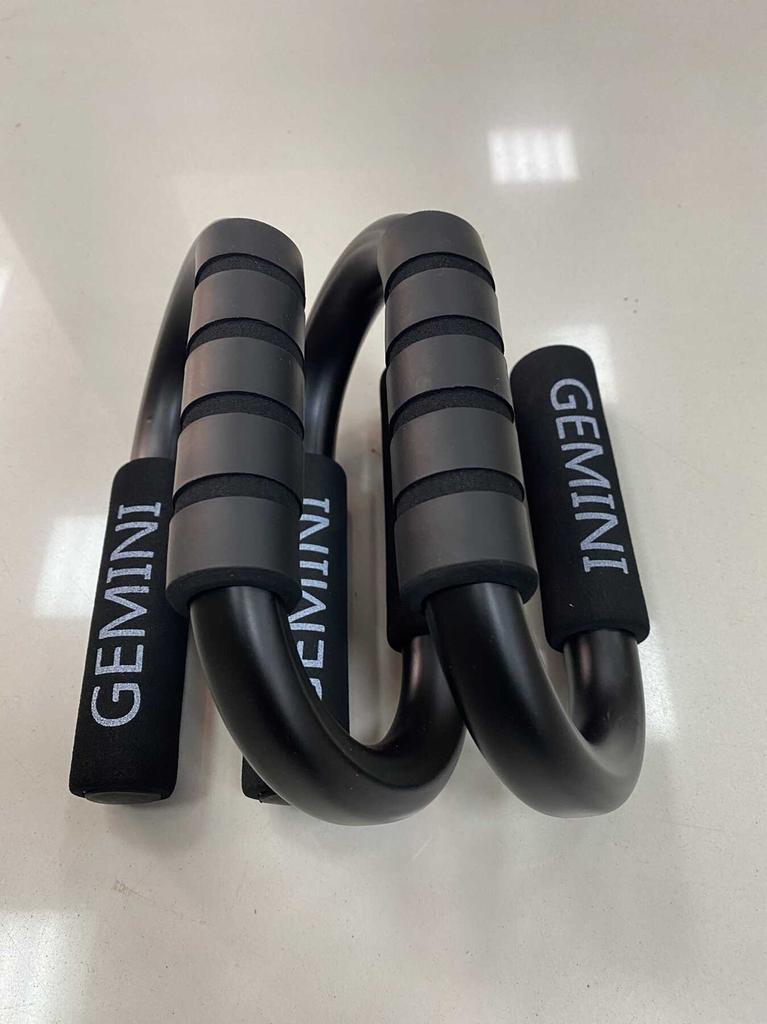 Gemini Sport variant image