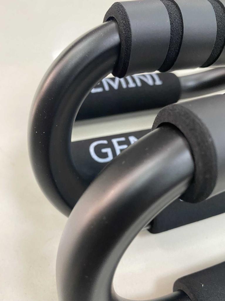 Gemini Sport variant image