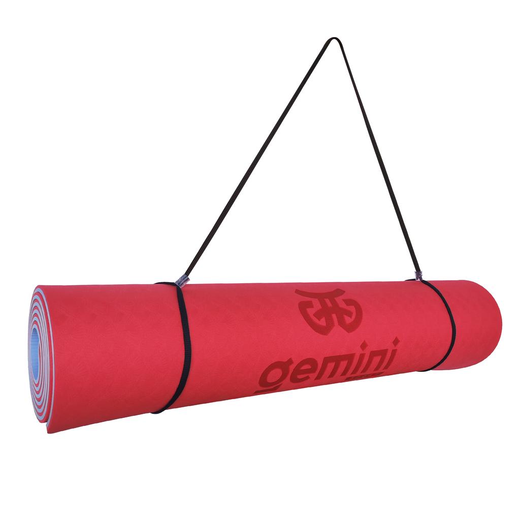Gemini Sport variant image