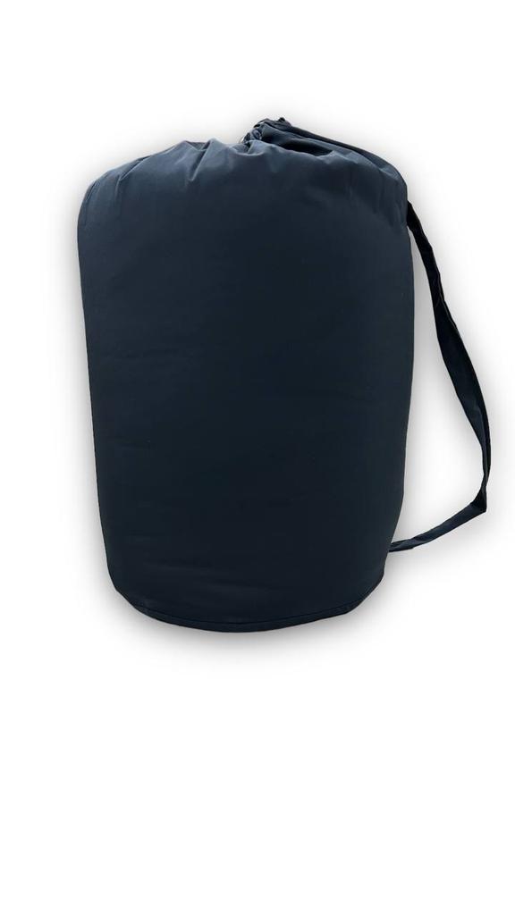 Gemini Sport variant image