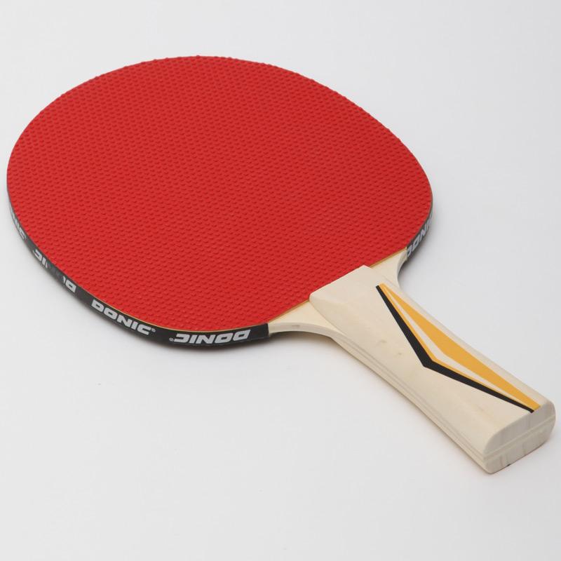 Gemini Sport variant image