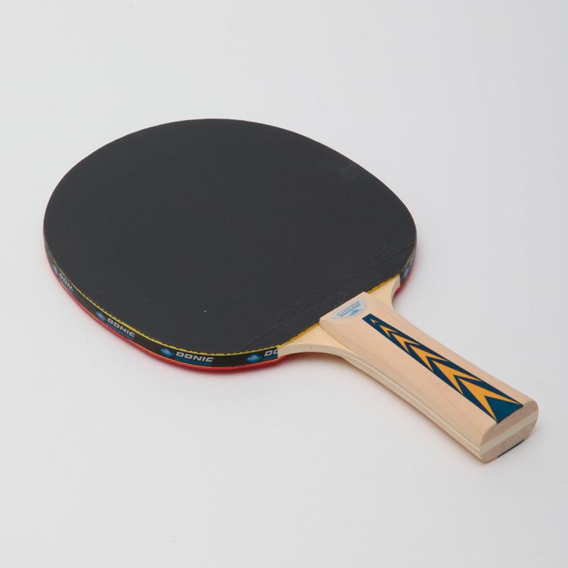 Gemini Sport variant image
