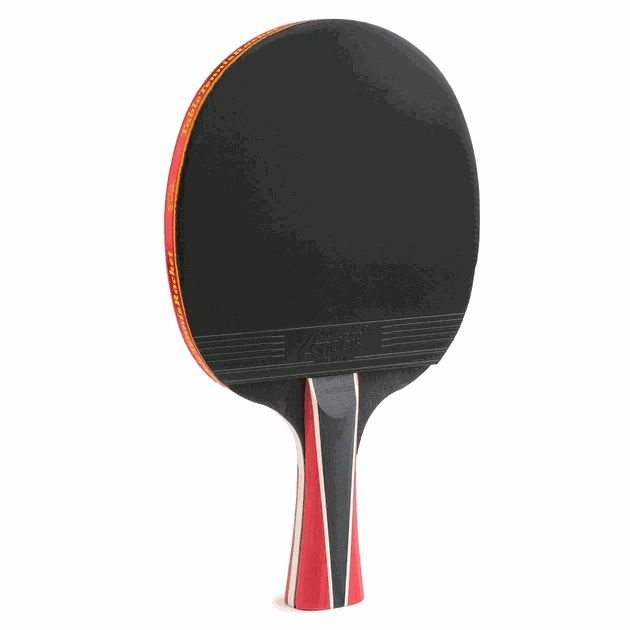 Gemini Sport variant image