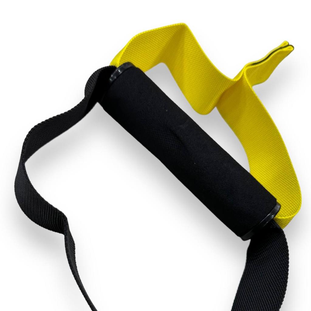 Gemini Sport variant image