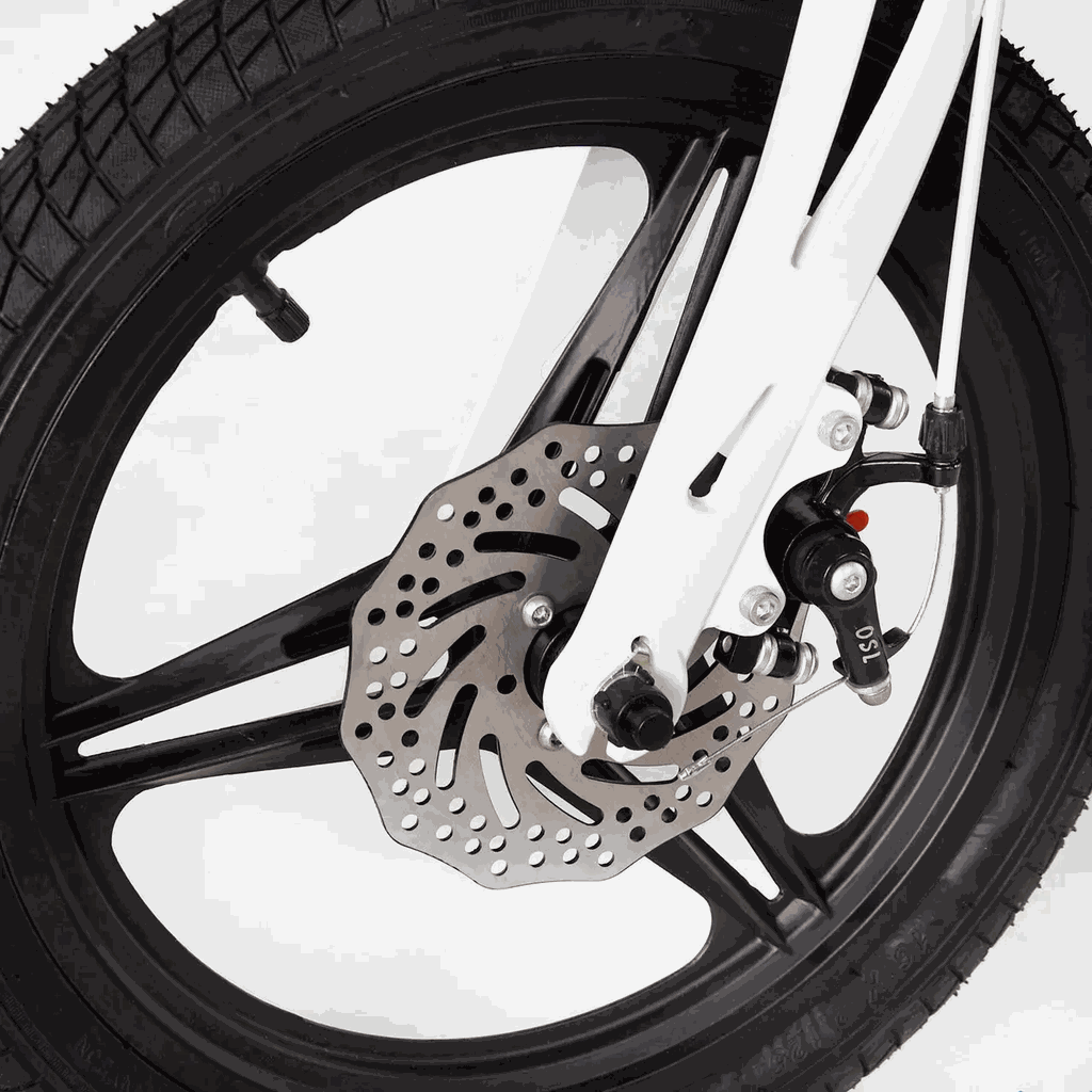 Gemini Sport variant image