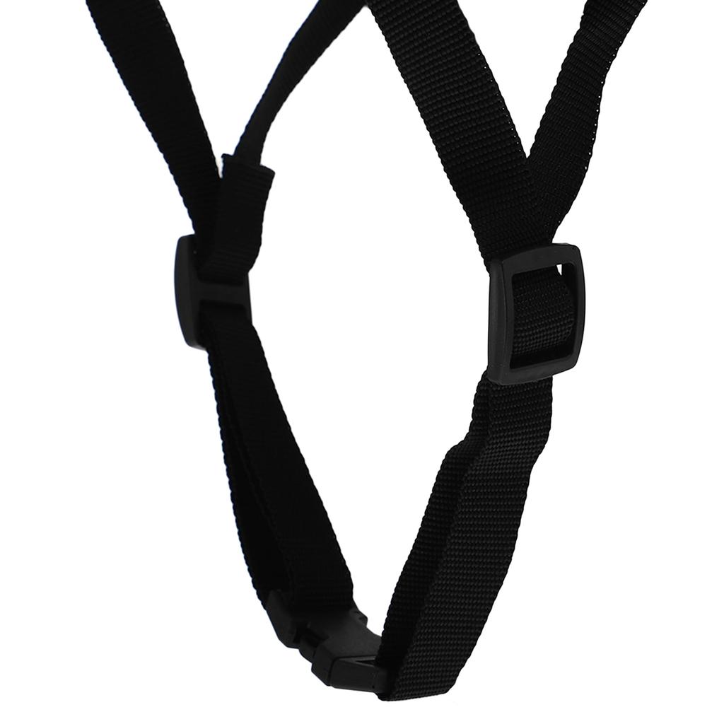 Gemini Sport variant image