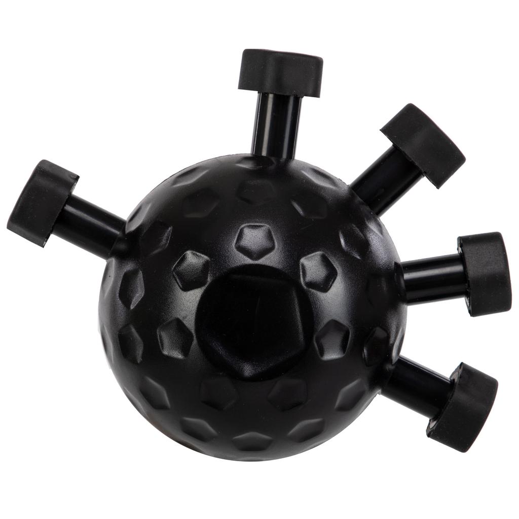 Gemini Sport variant image