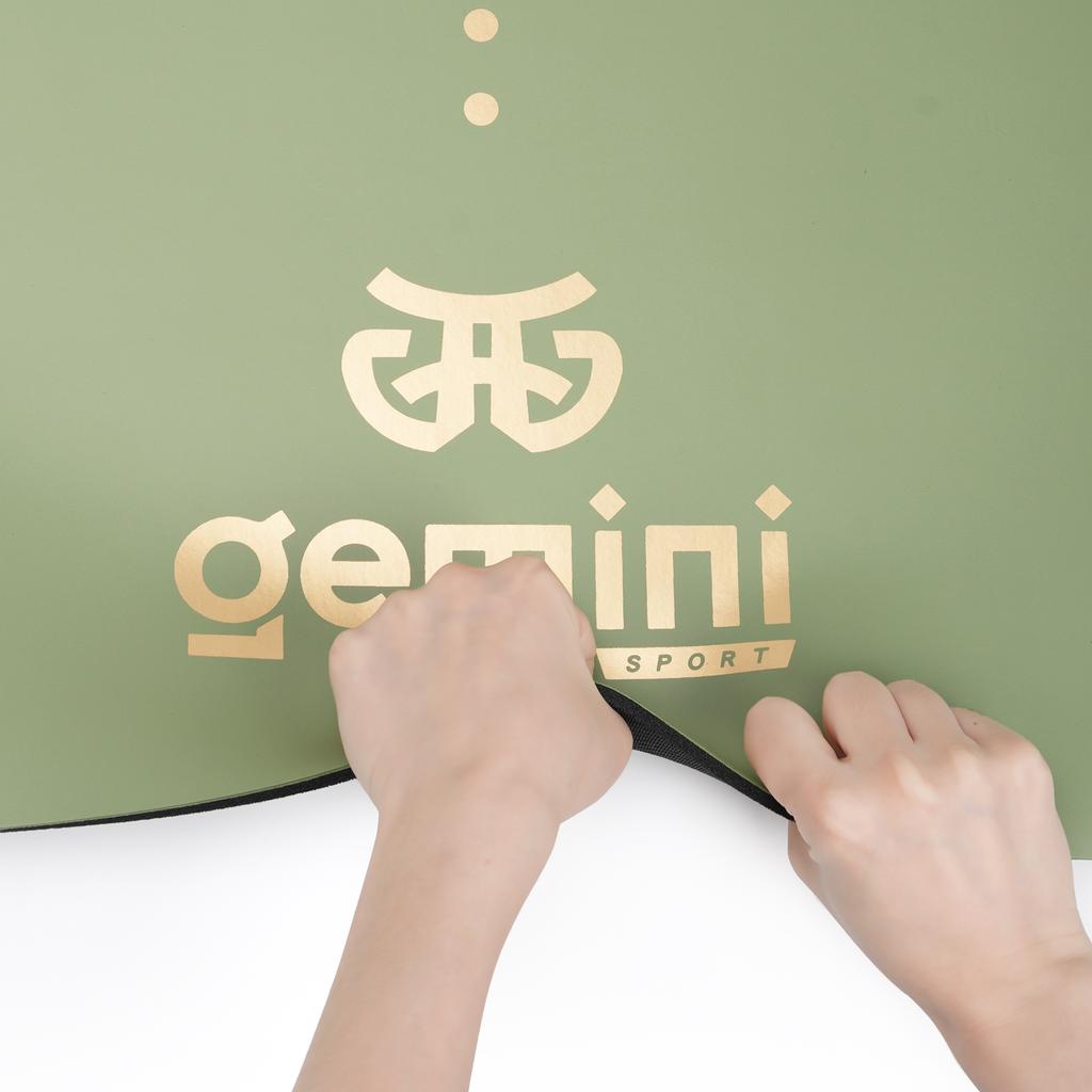 Gemini Sport variant image