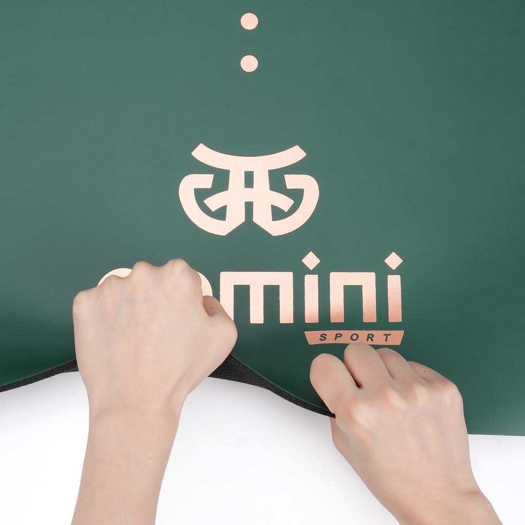 Gemini Sport variant image