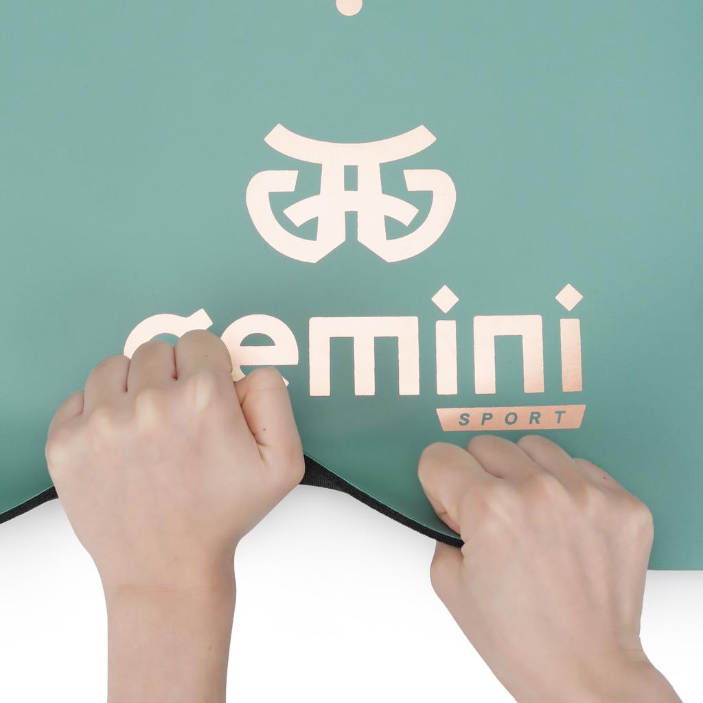 Gemini Sport variant image