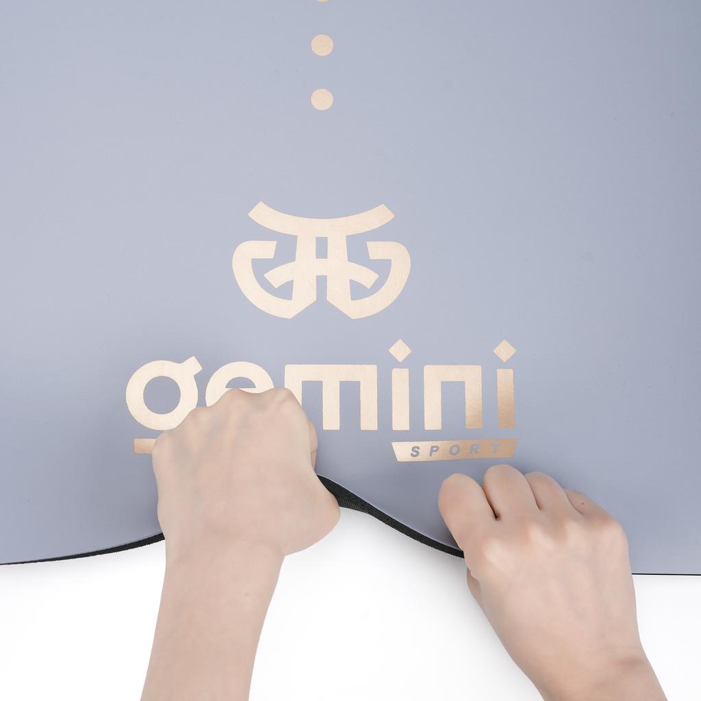 Gemini Sport variant image