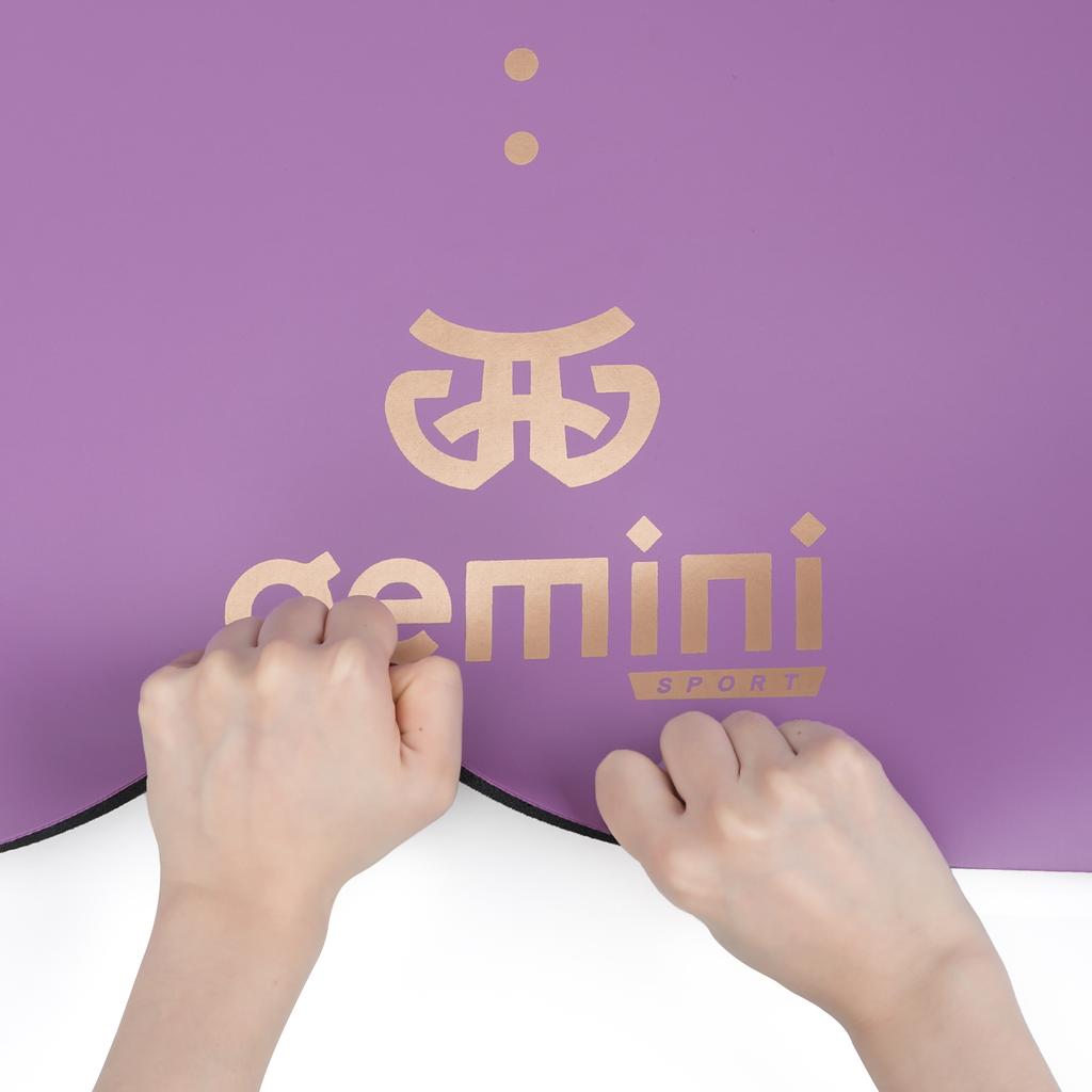 Gemini Sport variant image