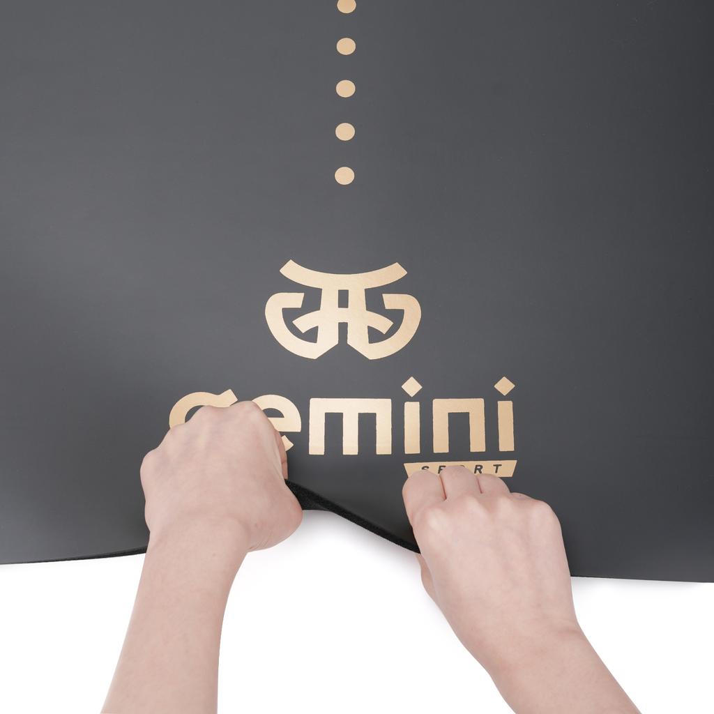Gemini Sport variant image