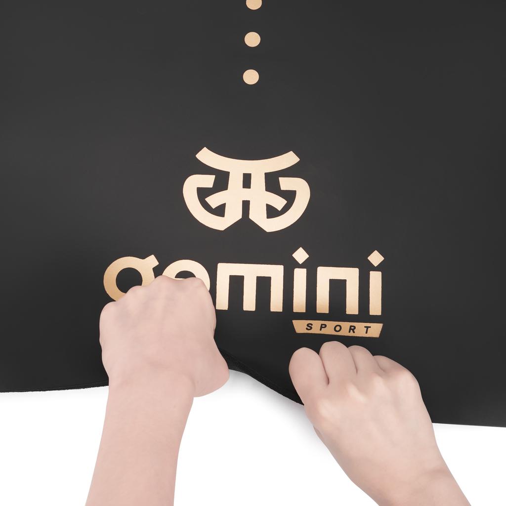 Gemini Sport variant image