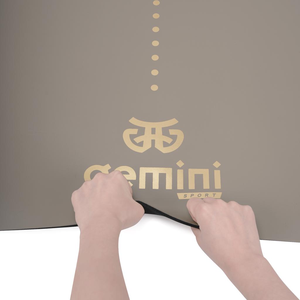 Gemini Sport variant image