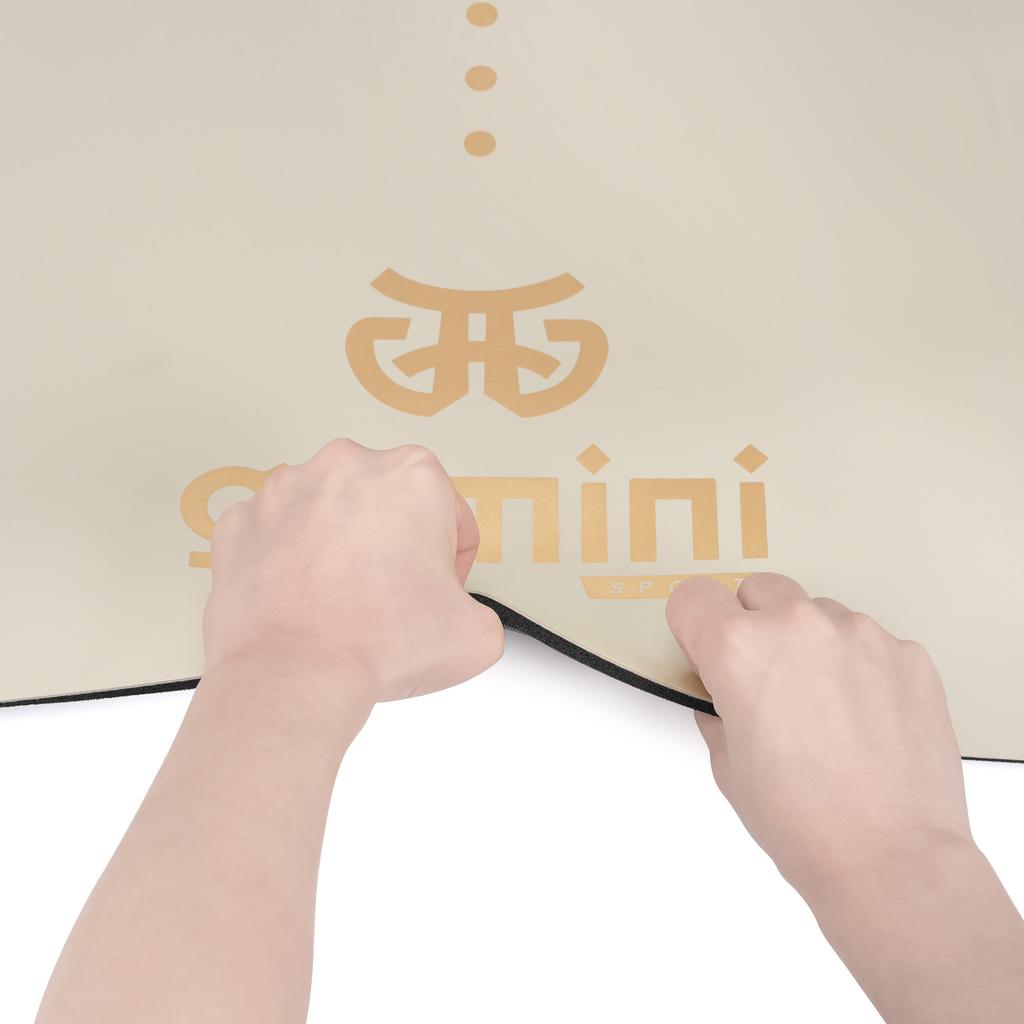 Gemini Sport variant image