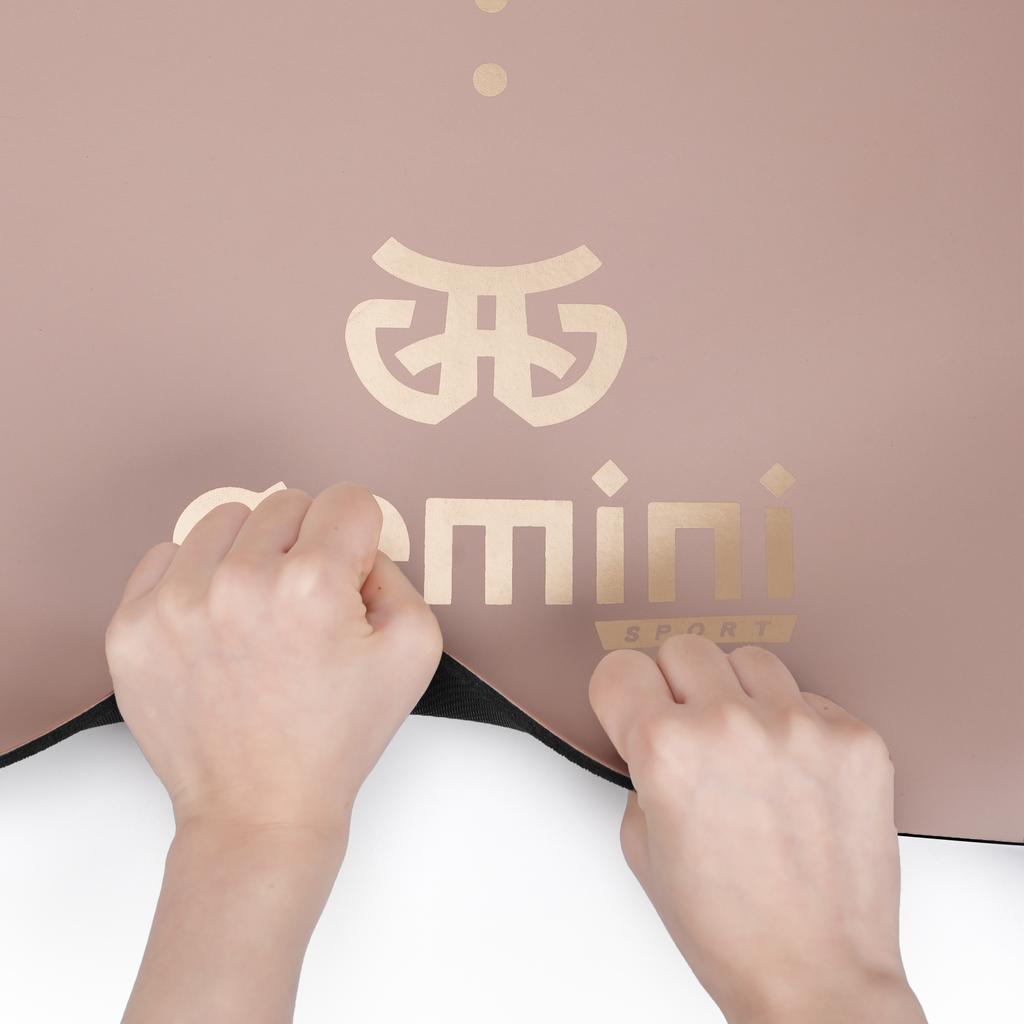 Gemini Sport variant image