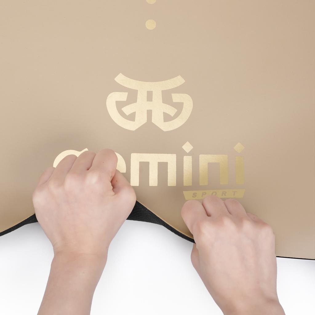 Gemini Sport variant image