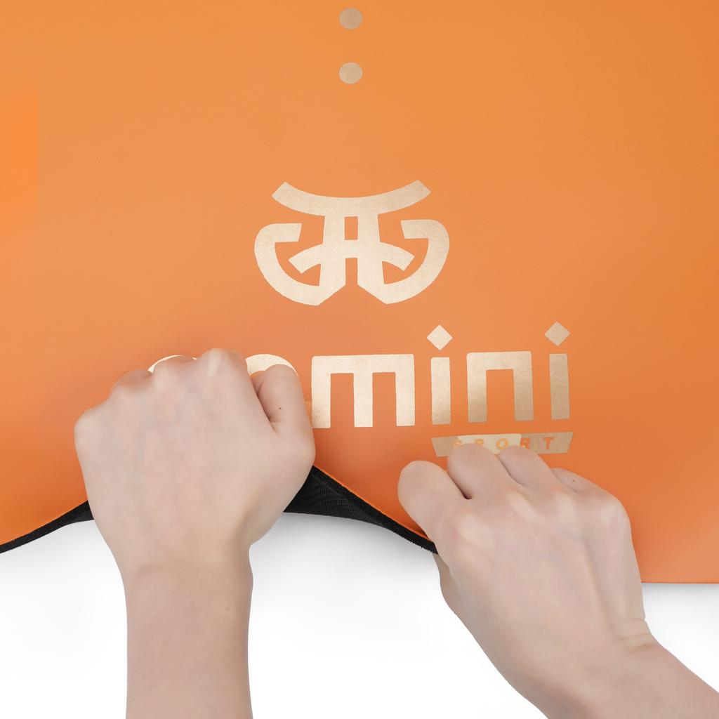 Gemini Sport variant image